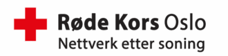Logo NES